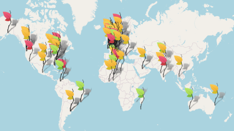 World map with colorful flags marking OLS cohort sites.