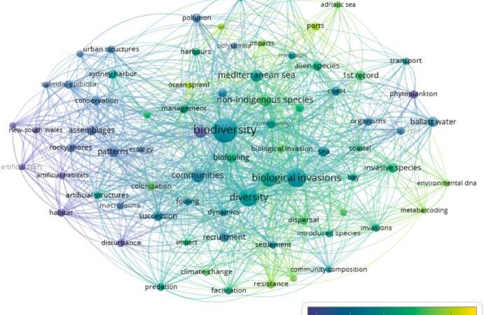 A colorful network of associations among elements of biodiversity and marine environments